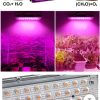 led creștere plante 50w