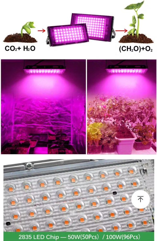 led creștere plante 50w