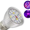Bec led plant 10w