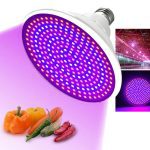 Bec plante fullspectrum