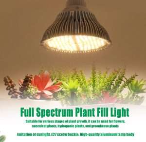 Bec led cresterea plantelor