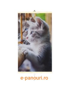 Panou încălzire 420w 3 Panou infraroșu 420w