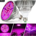 Bec led 150w plante